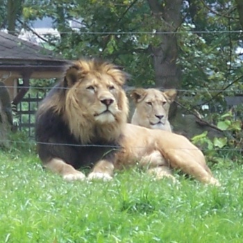 Zoologischer und botanischer Garten: Pilsen