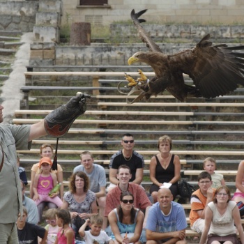 Zoologischer und botanischer Garten: Pilsen