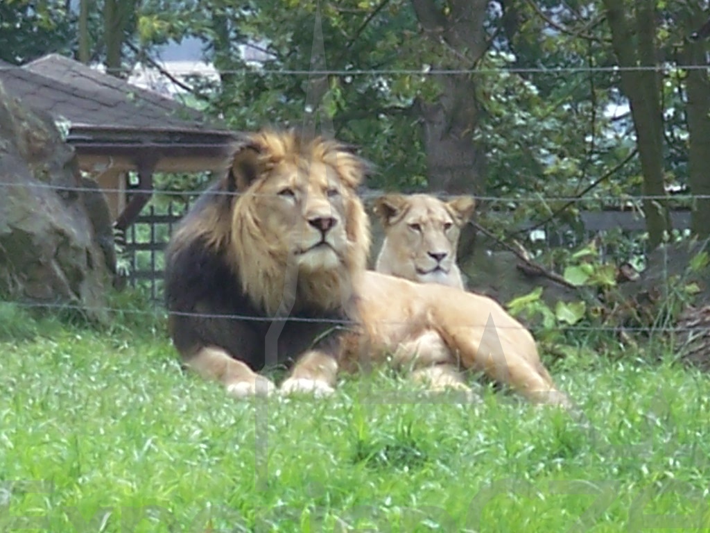 Zoologischer und botanischer Garten Pilsen