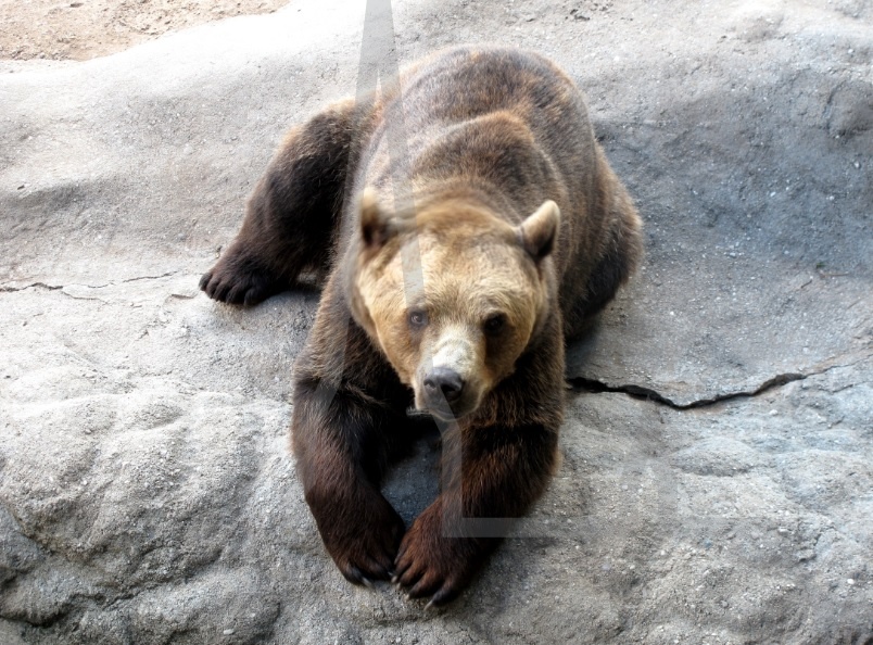Zoologischer und botanischer Garten Pilsen