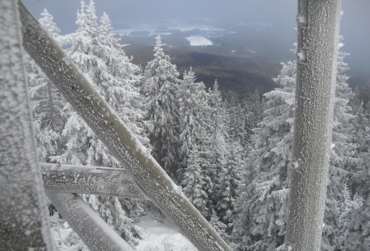 Mountain Track in the Czech Republic: Šumava (Bohemian) Forest