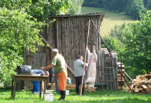 HДомашний Убой Свиней + Живая Музыка в Чешской Республике