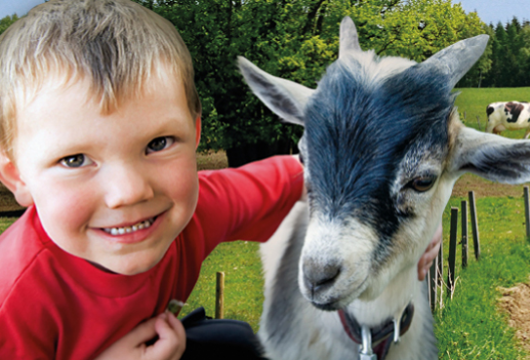 Farm Life in the Czech Republic: West Bohemia