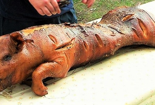 Pig Grilling in the Czech Republic: Pilsen Region