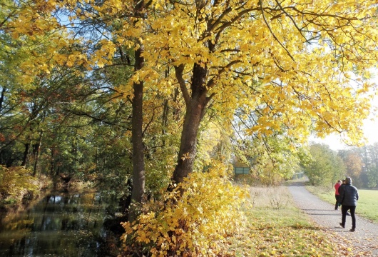 Fauna and Flora in the Czech Republic: Tiding Walk in the Nature