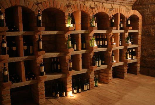 Wine Tasting with Moravian Music in the Czech Republic: in the cellar or among the horses