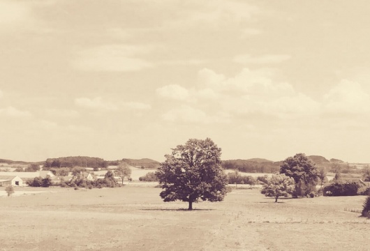 Rural Life in the Czech Republic: South-West Bohemia