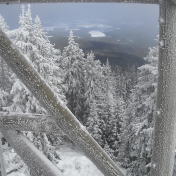 Mountain Track in the Czech Republic: Šumava (Bohemian) Forest