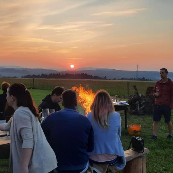 Weinverkostung mit mährischer Musik in der Tschechischen Republik: im Keller oder bei den Pferden