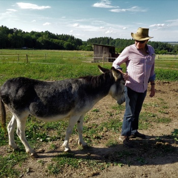 Donkey Pilgrimage in the Czech Republic: Pilsen Region