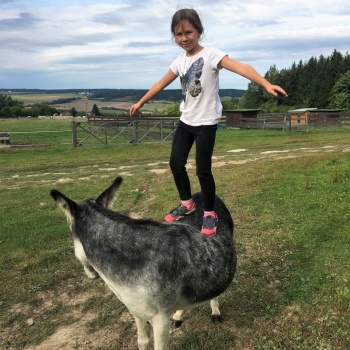 Donkey Pilgrimage in the Czech Republic: Pilsen Region