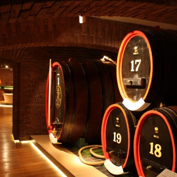 Spa in the Czech Republic: Carlsbad Tour - Glass Tradition - Becherovka Liquer Distillery