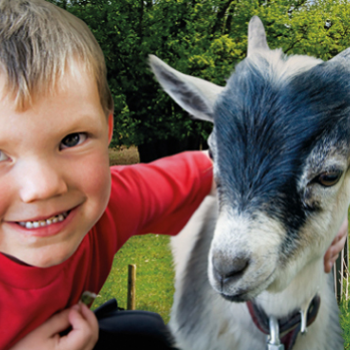 Farm Life in the Czech Republic: West Bohemia