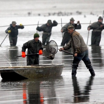 Fishing out Experience in the Czech Republic: Bohemia