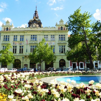 Gastronomy Tour in the Czech Republic: Pilsen Old Town