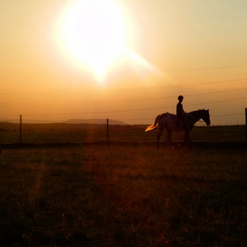 Farm Life in the Czech Republic: West Bohemia