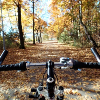 Radfahren in der Tschechischen Republik: Städte und Vororte