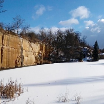 Fauna and Flora in the Czech Republic: Tiding Walk in the Nature