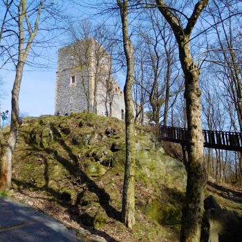 Burgen in der Tschechischen Republik: Königsburg Radyně