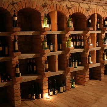 Wine Tasting with Moravian Music in the Czech Republic: in the cellar or among the horses