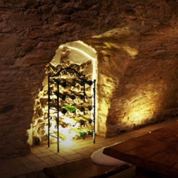 Wine Tasting with Moravian Music in the Czech Republic: in the cellar or among the horses