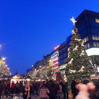 Shopping experience in the Czech Republic: Pilsen, Prague, Carslbad
