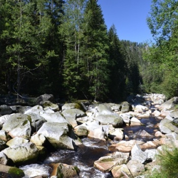 Naturschutzgebiete in Tschechien: Böhmerwald-Rundfahrt