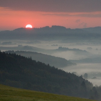 Czech Nature Preserves: Šumava (Bohemian) Forest Sightseeing Tour