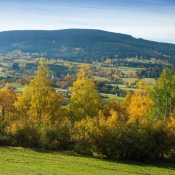 Czech Nature Preserves: Šumava (Bohemian) Forest Sightseeing Tour