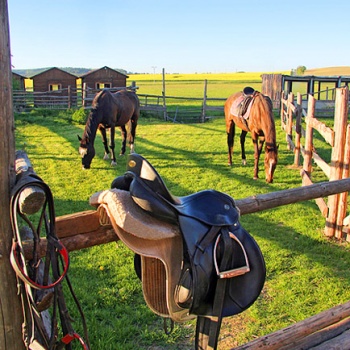 Rural Life in the Czech Republic: South-West Bohemia