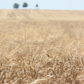 Rural Life in the Czech Republic: South-West Bohemia