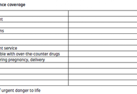 Travel Healthy Liability Medical Insurance