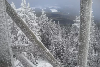 Mountain Track in the Czech Republic: Šumava (Bohemian) Forest