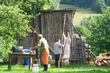 Home Pig Slaughter with Live Music in the Czech Republic: Region Pilsen Hausschlachtung mit Live-Musik auf einem tschechischen Landgut: Region Pilsen