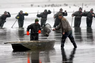 Fishing out Experience in the Czech Republic: Bohemia