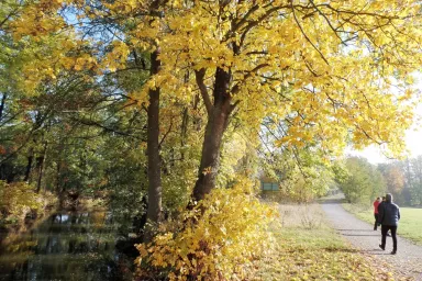 Fauna and Flora in the Czech Republic: Tiding Walk in the Nature