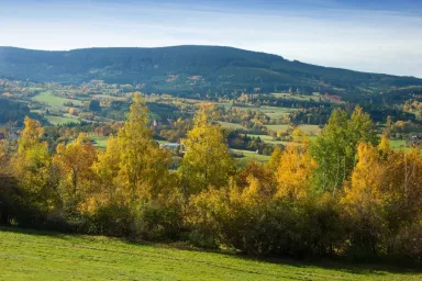 Czech Nature Preserves: Šumava (Bohemian) Forest Sightseeing Tour