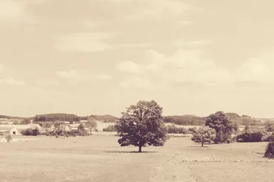 Rural Life in the Czech Republic: South-West Bohemia
