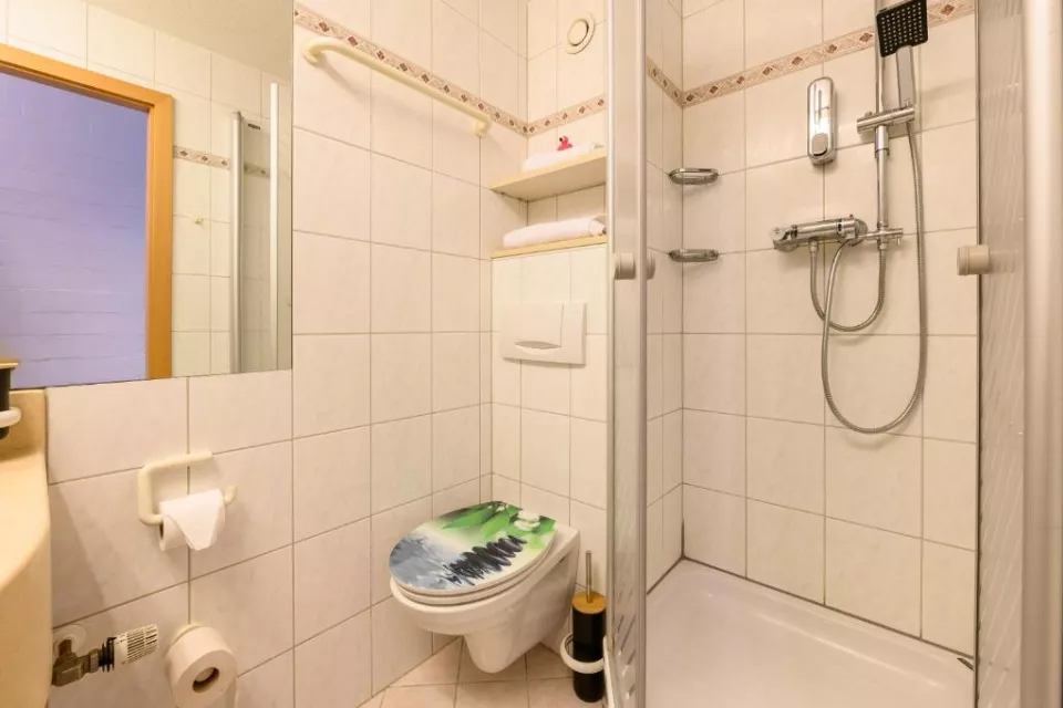 Green Wellness Pools Saunas Apartment with Alpine view Terrace
