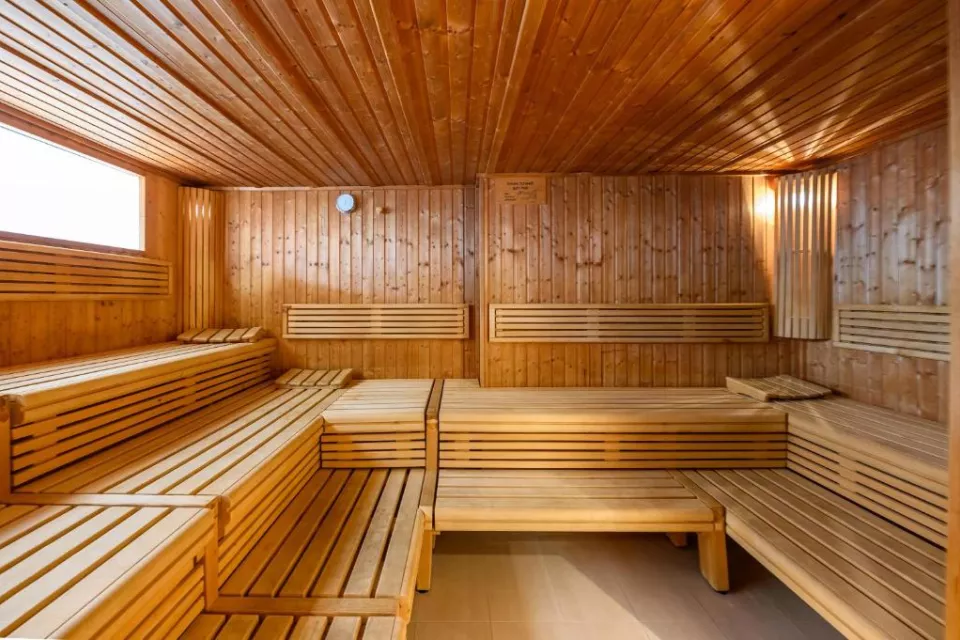 Green Wellness Pools Saunas Apartment with Alpine view Terrace