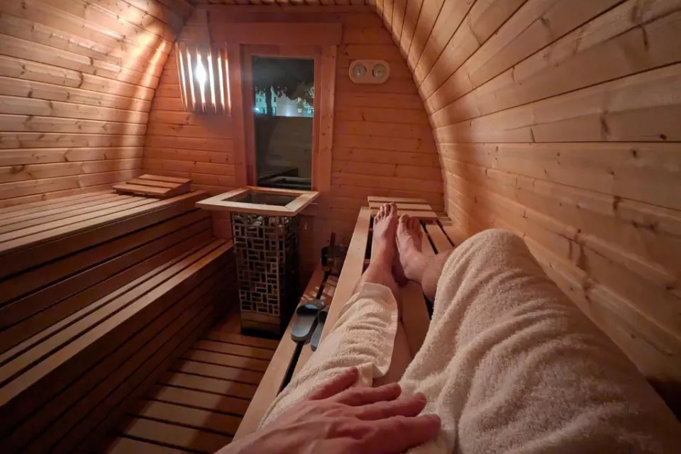 Green Wellness Pools Saunas Apartment with Alpine view Terrace