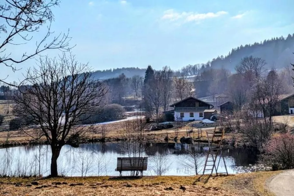Green Wellness Pools Saunas Apartment with Alpine view Terrace