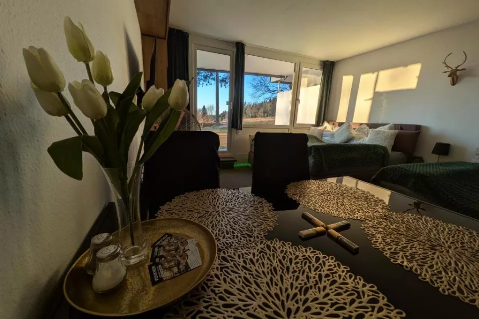 Green Wellness Pools Saunas Apartment with Alpine view Terrace
