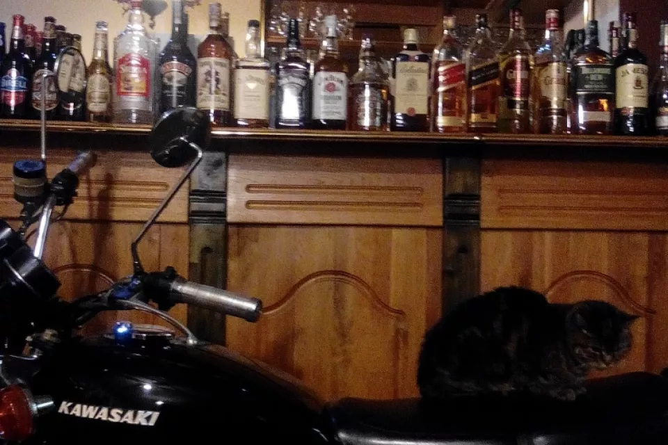 Cycle Beer Trip in the Czech Republic: Pilsen Region Cycleway