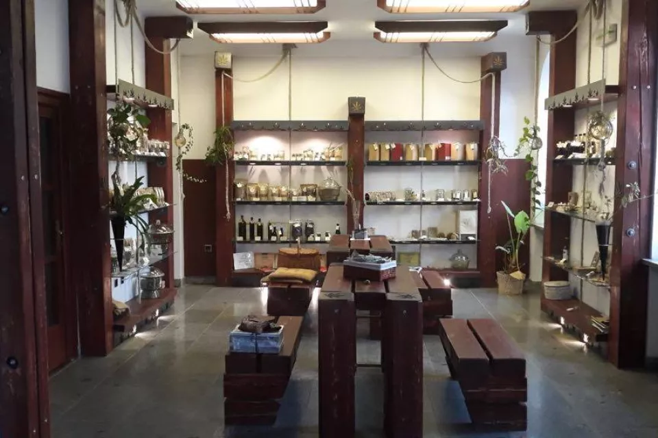 Cannabis Trip: on Plantations to Healing Hemp