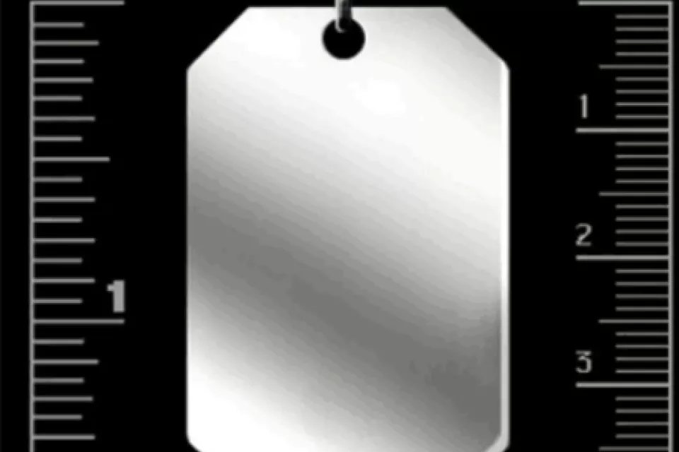 Czech Republic National Lion Flag: Unisex Crest Dog Tag Necklace