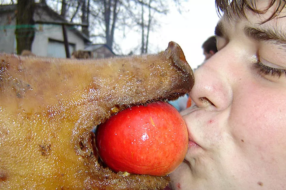 Pig Grilling in the Czech Republic: Pilsen Region