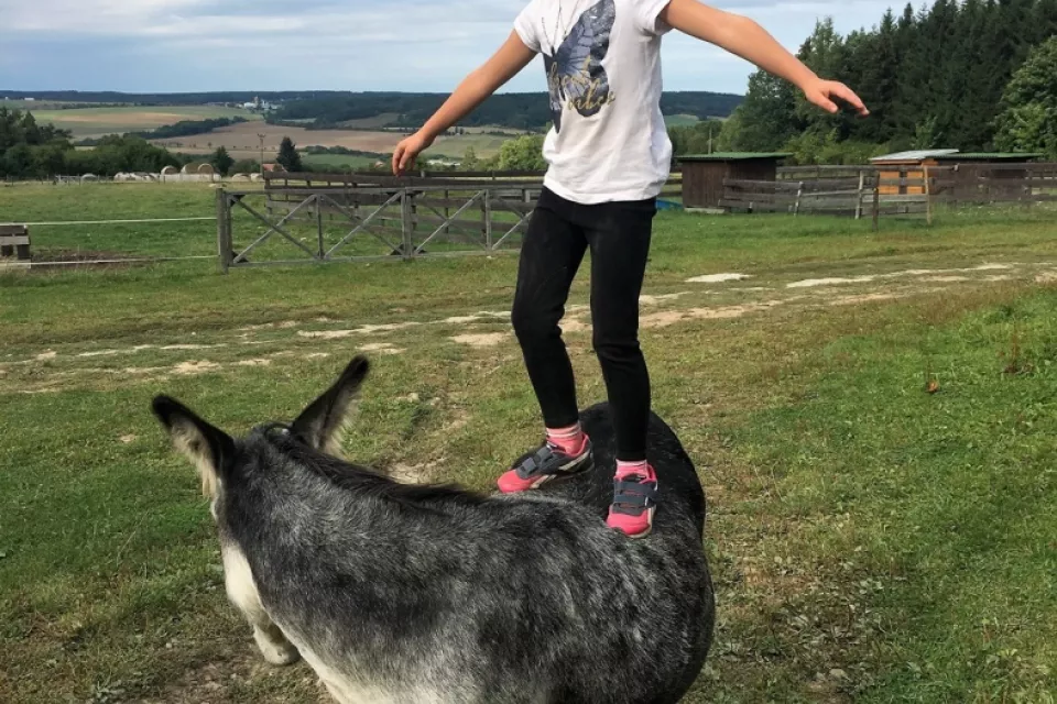 Donkey Pilgrimage in the Czech Republic: Pilsen Region