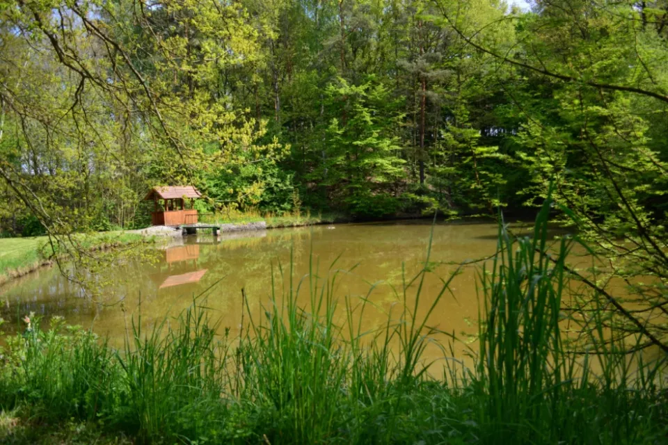 Fishing Experience in the Czech Republic: Bohemia