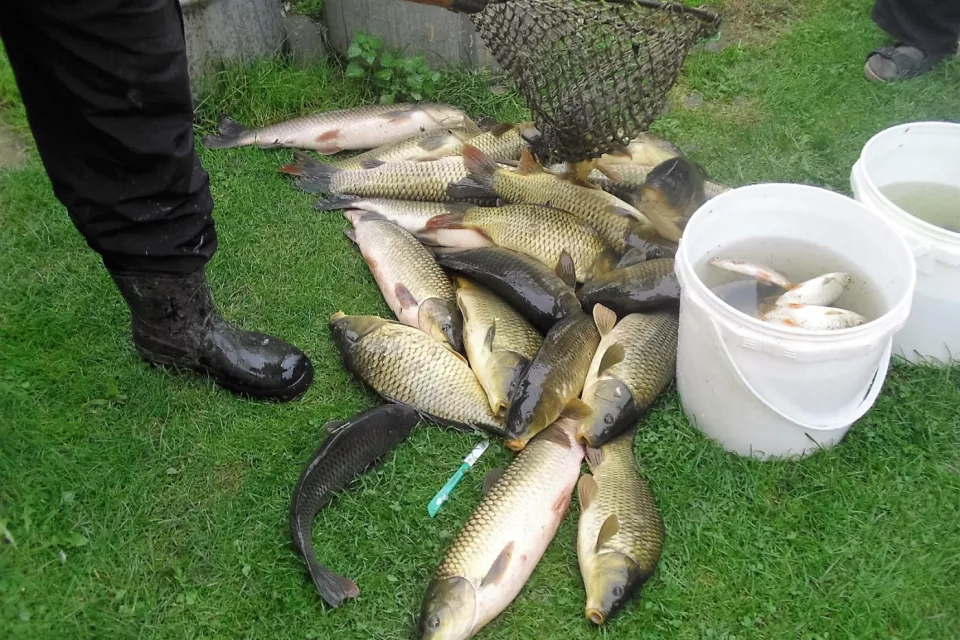 Fishing Experience in the Czech Republic: Bohemia